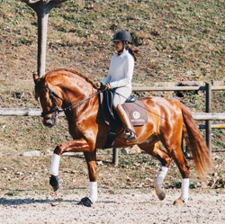Horse Riding Equidress
